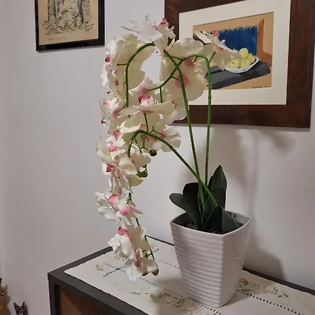 Casa Bolsena Апартаменты *